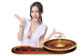 tk555-এর বিভিন্ন গেম বিভাগের প্রদর্শনী