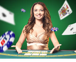 নতুন ব্যবহারকারীদের জন্য tk555 নিরাপদ লগইন চিত্র